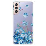 For Samsung Galaxy S22+ 5G Painted Pattern High Transparent TPU Phone  Protective Case(Star Flower)