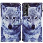 For Samsung Galaxy S22 5G Painted Pattern Horizontal Flip Phone Leather Case with Holder & Card Slots & Photo Frame(White Wolf)