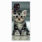 For Samaung Galaxy S22 Ultra 5G Painted Pattern High Transparent TPU Phone Case(Sitting Cat)