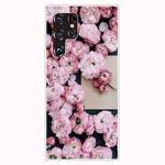 For Samaung Galaxy S22 Ultra 5G Painted Pattern Transparent TPU Phone Case(Envelope Rose)
