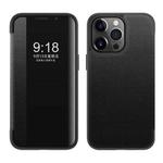 For iPhone 13 Pro Magnetic Side Window View Shockproof Horizontal Flip Leather Case (Black)