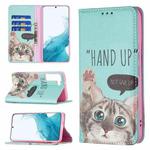 For Samsung Galaxy S22+ 5G Colored Drawing Pattern Invisible Magnetic Horizontal Flip Phone Leather Case with Holder & Card Slots & Wallet(Cat)