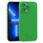 For iPhone 13 Pro TPU Oil-sprayed Soft Phone Case (Green)