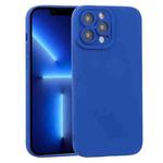 For iPhone 13 Pro TPU Oil-sprayed Soft Phone Case (Blue)