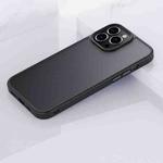 For iPhone 13 mini Frosted Back Shockproof Phone Case (Black)