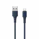 REMAX RC-179i 2.4A 8 Pin High Elastic TPE Fast Charging Data Cable, Length: 1m(Blue)