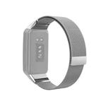 For OPPO Watch Free NFC Milan Magnetic Metal Watch Band(Grey)