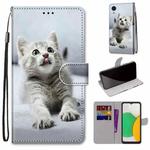 For Samsung Galaxy A03 Core Coloured Drawing Cross Texture Horizontal Flip Leather Phone Case with Holder & Card Slots & Wallet & Lanyard(Small Grey Cat)