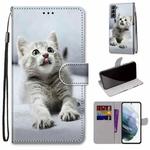 For Samsung Galaxy S22 5G Coloured Drawing Cross Texture Horizontal Flip Leather Phone Case with Holder & Card Slots & Wallet & Lanyard(Small Grey Cat)