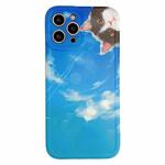 TPU Pattern Shockproof Phone Case For iPhone 13 Pro Max(Sky Kitten)