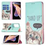 For Xiaomi Redmi Note 11 Pro 5G / 11 Pro+ 5G Colored Drawing Pattern Invisible Magnetic Leather Phone Case(Cat)