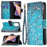 For Xiaomi Redmi Note 11 Pro / 11 Pro+ Colored Drawing Pattern Zipper Leather Phone Case(Plum Blossom)
