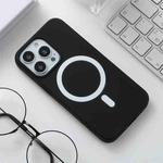 Silicone Magsafe Phone Case For iPhone 13 Pro Max(Black)