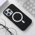 Silicone Magsafe Phone Case For iPhone 13 Pro(Black)