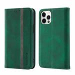 Splicing Skin Feel Magnetic Leather Phone Case For iPhone 12 Pro Max(Green)