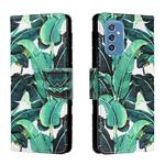 For Samsung Galaxy M52 5G Colored Drawing Leather Phone Case(Banana Leaf)