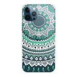 For iPhone 13 Pro Max Gradient Lace Transparent TPU Phone Case (Green White)