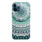 For iPhone 12 / 12 Pro Gradient Lace Transparent TPU Phone Case(Green White)