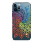 For iPhone 12 Pro Max Gradient Lace Transparent TPU Phone Case(Whirlwind Colorful)