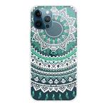 For iPhone 12 Pro Max Gradient Lace Transparent TPU Phone Case(Green White)