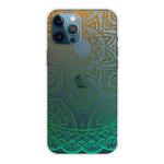 For iPhone 11 Pro Max Gradient Lace Transparent TPU Phone Case (Gradient Green)