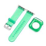 Jelly Watch Band + Case For Apple Watch Series 9&8&7 41mm / SE 3&SE 2&6&SE&5&4 40mm / 3&2&1 38mm(Emerald Green)