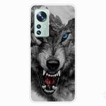 For Xiaomi 12 / 12X 5G Shockproof Painted Transparent TPU Protective Phone Case(Mountain Wolf)