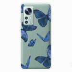 For Xiaomi 12 Pro Painted Shockproof TPU Protective Phone Case(Blue Butterfly)