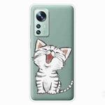 For Xiaomi 12 Pro Painted Shockproof TPU Protective Phone Case(Laughing Cat)