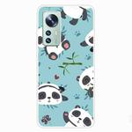 For Xiaomi 12 Pro Painted Transparent Shockproof TPU Protective Phone Case(Smiling Panda)