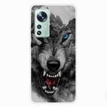 For Xiaomi 12 Pro Painted Transparent Shockproof TPU Protective Phone Case(Mountain Wolf)