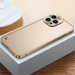 For iPhone 12 Pro Max Metal Frame Frosted Case(Gold)