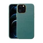 Electroplating Leather Texture PC + TPU Phone Case For iPhone 12(Green)