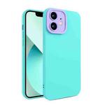 Eagle Eye Lens Oily Feel TPU + PC Phone Case For iPhone 12(Light Green)