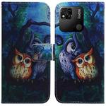 For Xiaomi Redmi 10A Coloured Drawing Leather Phone Case(Oil Painting Owl)