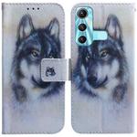 For Infinix Hot 11 X662 Coloured Drawing Leather Phone Case(White Wolf)