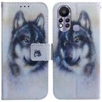 For Infinix Hot 11s X6812 Coloured Drawing Leather Phone Case(White Wolf)