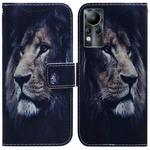 For Infinix Note 11 Coloured Drawing Leather Phone Case(Lion)