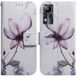 For Infinix Note 11 Coloured Drawing Leather Phone Case(Magnolia Flower)