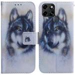 For Infinix Smart 6 Coloured Drawing Leather Phone Case(White Wolf)