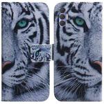 For Tecno Spark 8P Coloured Drawing Leather Phone Case(Tiger)