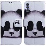 For Tecno Spark 8P Coloured Drawing Leather Phone Case(Panda)