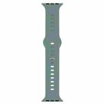 Liquid Silicone Watch Band For Apple Watch Series 8&7 41mm / SE 2&6&SE&5&4 40mm / 3&2&1 38mm(Pine Green)