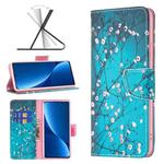 For Xiaomi 12 Pro Colored Drawing Pattern Leather Phone Case(Plum Blossom)