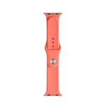 For Apple Watch Series 7 41mm / 6 & SE & 5 & 4 40mm / 3 & 2 & 1 38mm Mutural Liquid Silicone Watch Band(Orange)