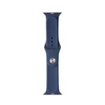 For Apple Watch Series 7 41mm / 6 & SE & 5 & 4 40mm / 3 & 2 & 1 38mm Mutural Liquid Silicone Watch Band(Blue)