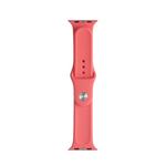 For Apple Watch Series 7 41mm / 6 & SE & 5 & 4 40mm / 3 & 2 & 1 38mm Mutural Liquid Silicone Watch Band(Watermelon Red)