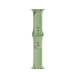 For Apple Watch Series 7 41mm / 6 & SE & 5 & 4 40mm / 3 & 2 & 1 38mm Mutural Liquid Silicone Watch Band(Mint Green)