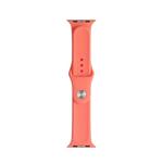 For Apple Watch Ultra 49mm / Series 8&7 45mm / SE 2&6&SE&5&4 44mm / 3&2&1 42mm Mutural Liquid Silicone Watch Band(Orange)