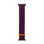 For Apple Watch Series 7 41mm / 6 & SE & 5 & 4 40mm / 3 & 2 & 1 38mm Mutural Nylon Watch Band(Plum Color)